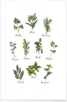 JUNIQE - Poster Herbs Collection -20x30 /Groen & Wit