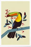 JUNIQE - Poster Toucan II -30x45 /Kleurrijk