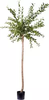 Kunstplant Eucalyptus 150 cm