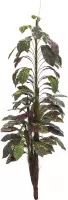 Europalms kunstplant Croton met kokosnoot stam, 180cm