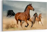 Schilderij - Wilde mooie paarden die in vrijheid rennen — 100x70 cm