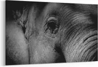 Schilderij - Elephant — 90x60 cm