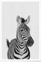 JUNIQE - Poster Zebra Classic -40x60 /Wit & Zwart