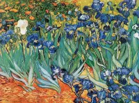 Vincent Van Gogh - Iris Kunstdruk 80x60cm