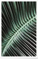 JUNIQE - Poster Curved Palm -13x18 /Groen