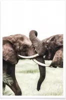 JUNIQE - Poster Elephants at Play -40x60 /Bruin