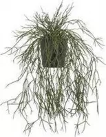Kunstplant  - Rhipsalis - In koperkleurig zinken emmertje met hengsel en houten handvat - In cadeauverpakking met gekleurd lint