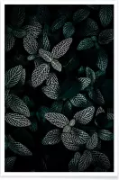 JUNIQE - Poster Dark Leaves 3 -40x60 /Groen & Zwart