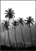 Schilderij Palmbomen