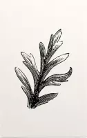 Bladtekening zwart-wit 2 - Foto op Forex - 100 x 150 cm