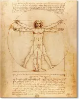 Canvas Schilderij Vitruviusman - Leonardo da Vinci - 40x50 cm