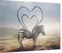 Abstracte Hart Zebra - Foto op Plexiglas - 40 x 30 cm