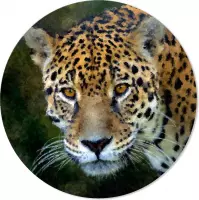 Graphic Message - Wandcirkel - Jaguar - Panter - Jungle - Wooncirkel - Muurcirkel - Print op Cirkel