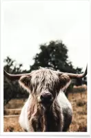 JUNIQE - Poster Boris Highland Cow -20x30 /Bruin & Groen