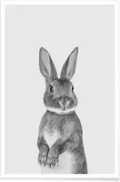JUNIQE - Poster Paws & Claws Bunny -30x45 /Wit & Zwart