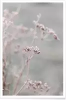 JUNIQE - Poster Frosty Morning 3 -40x60 /Grijs & Roze