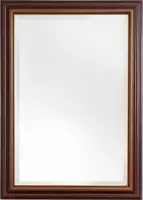 Klassieke Spiegel 54x114 cm Hout - Vera