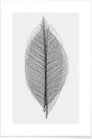 JUNIQE - Poster Skeleton of a Leaf -20x30 /Wit & Zwart