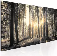 Schilderijen Op Canvas - Schilderij - Forest Sun 150x50 - Artgeist Schilderij