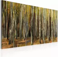 Schilderij - De mysterieuze Sherwood Forest , 3 luik
