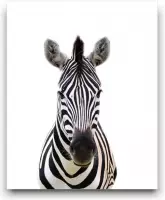 Schilderij  Safari / Jungle Zebra - Kinderkamer - Dieren Schilderij - Babykamer / Kinder Schilderij - Babyshower Cadeau - Muurdecoratie - 50x40cm - FramedCity