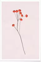 JUNIQE - Poster Winter Fruits -40x60 /Rood & Zwart
