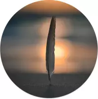 Muurcirkel feather beach Ø 100 cm / Dibond - Aanbevolen