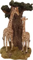 Waxinelichthouders bovenin boom | giraffe decoratie beeld met waxinelichthouder