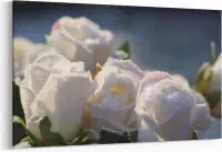 Schilderij - Witte rozen — 100x70 cm