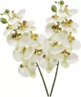 2x Witte Phaleanopsis/vlinderorchidee kunstbloemen 70 cm - Kunstbloemen boeketten