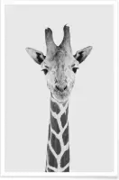 JUNIQE - Poster Giraffe Classic -20x30 /Wit & Zwart