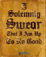 GBeye Harry Potter I Solemnly Swear  Poster - 40x50cm