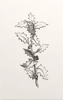 Ilex Hulst zwart-wit (Holly Branch) - Foto op Forex - 40 x 60 cm