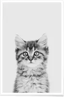 JUNIQE - Poster Kitten Classic -13x18 /Wit & Zwart