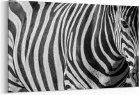 Schilderij - Zebra abstract zwart en wit — 100x70 cm