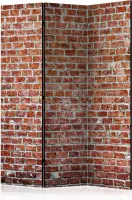 Kamerscherm - Scheidingswand - Vouwscherm - Red Rock [Room Dividers] 135x172 - Artgeist Vouwscherm