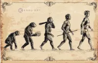 Schilderij - Concept van de evolutie