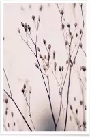 JUNIQE - Poster Wild Flower Pastel 3A Beige -20x30 /Bruin & Ivoor