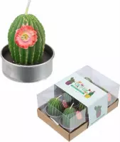 Waxinelichtje cactus groen rode bloem set van 6