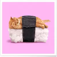 JUNIQE - Poster Sushi Cat -20x20 /Oranje & Roze