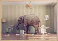 Poster Met Eiken Lijst - Kalmte-olifanten Poster