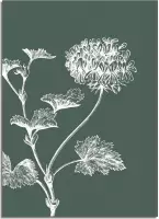DesignClaud Vintage bloem blad poster - Groen - Puur Natuur Botanische poster A3 poster (29,7x42 cm)