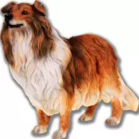 Schotse Collie Hond (Dog) hondenbeeldje , figuur