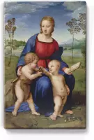 Madonna del Cardellino - Raffaello Sanzio - 19,5 x 30 cm - Niet van echt te onderscheiden schilderijtje op hout - Mooier dan een print op canvas - Laqueprint.