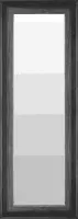 Zwart Zilveren Spiegel 57x147 cm – Jule – Design Spiegel Zilver – Chique Lange Spiegel Zilver – Spiegel Zilveren lijst – Perfecthomeshop