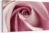 Schilderij - Rose close-up — 100x70 cm