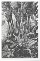 JUNIQE - Poster Palms in Water -30x45 /Grijs & Zwart