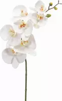 Phalaenopsis Orchidee Kunstbloem Wit 83 Cm - Vlinderorchidee