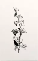 Klimop zwart-wit (Ivy) - Foto op Forex - 60 x 90 cm