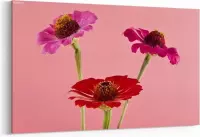 Schilderij - Bloemen op roze achtergrond — 100x70 cm